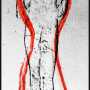65x180 cm