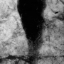 img_6209a