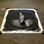 picture10