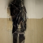 In Situ_