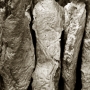 In Situ_
