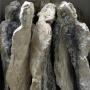 In Situ_