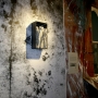 In Situ_