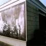In Situ_