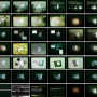 contactsheet-001