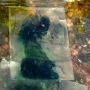 dscn0089