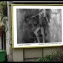 paris-06