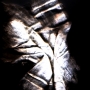 lovewar_image51