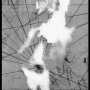 p_154